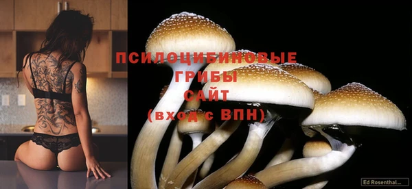 MESCALINE Медвежьегорск