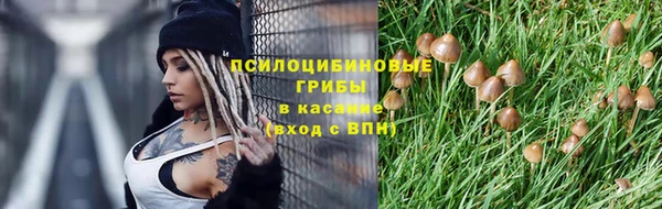 PSILOCYBIN Михайловка