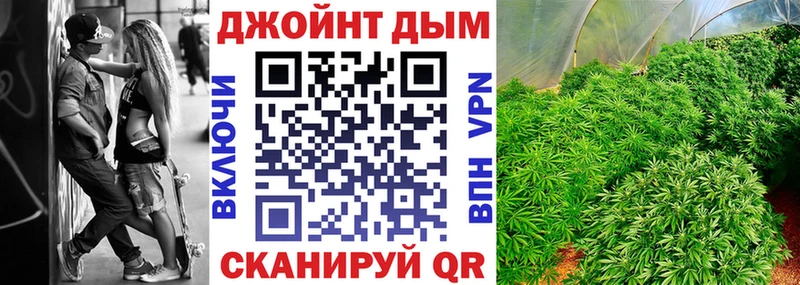 хочу наркоту  Колпашево  Марихуана тримм 
